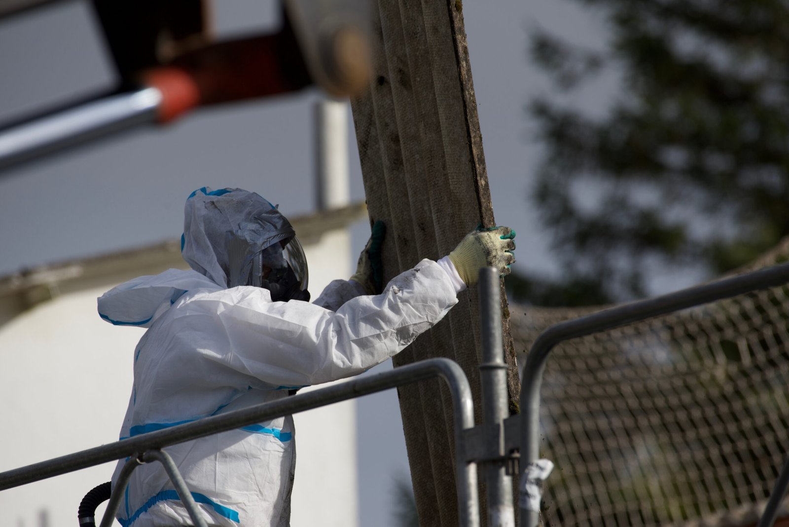asbestos removal